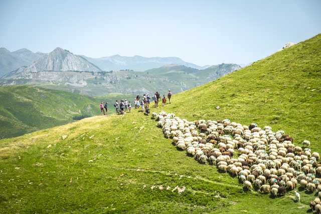 Le Bénou sur un plateau
