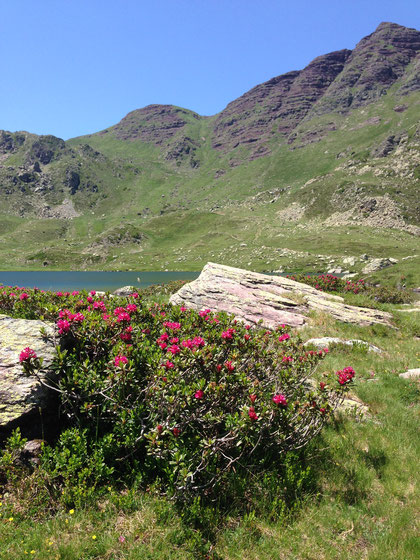 Aux portes de la vallée d'Ossau : la rando d'en bas, mais en haut quand même