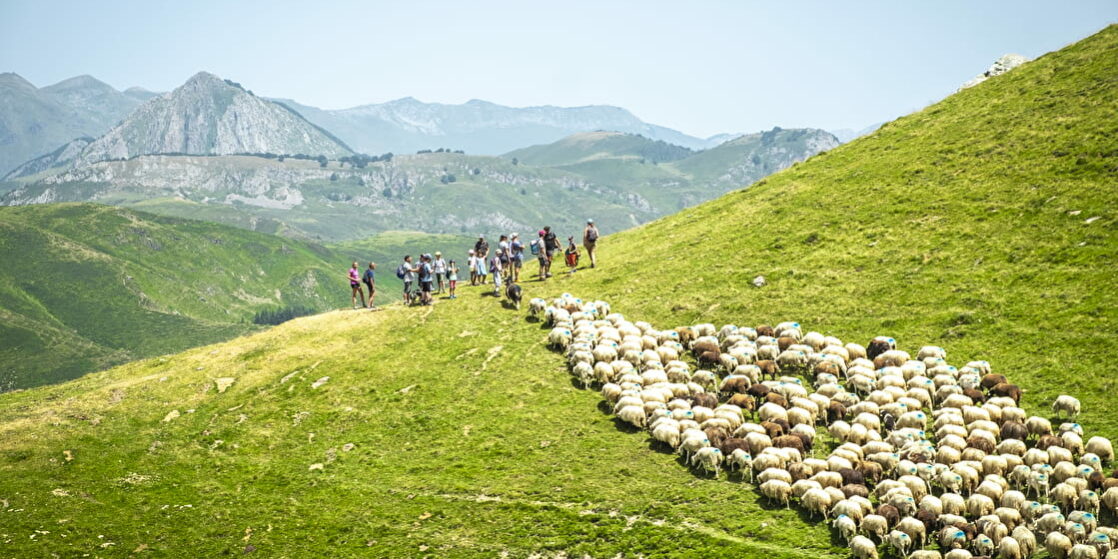 86a48f8449b55562b19b39b7d39acc87–DSF2279—Copie-1120×620