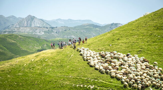 86a48f8449b55562b19b39b7d39acc87–DSF2279—Copie-1120×620