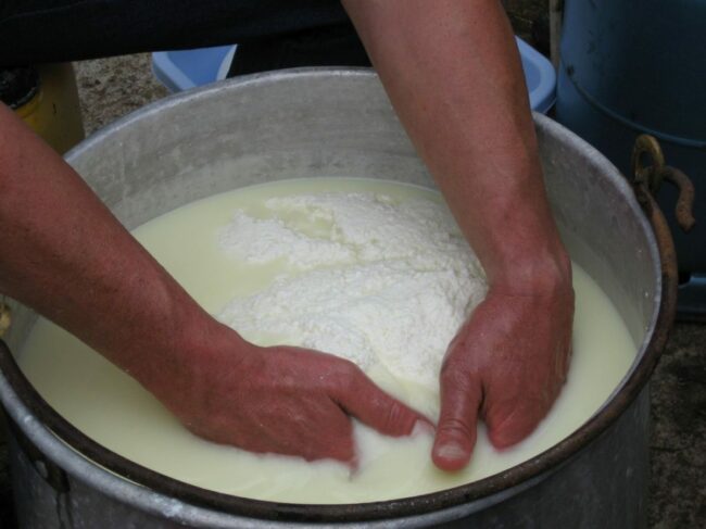 ferme-badie-photo-fromage-2-1200×900