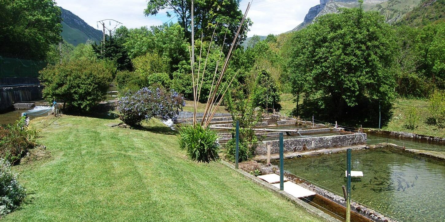 Pisciculture des sources