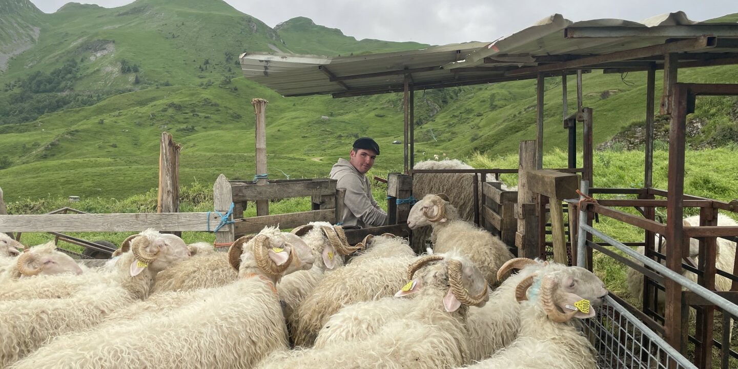 Ferme de Moundarren